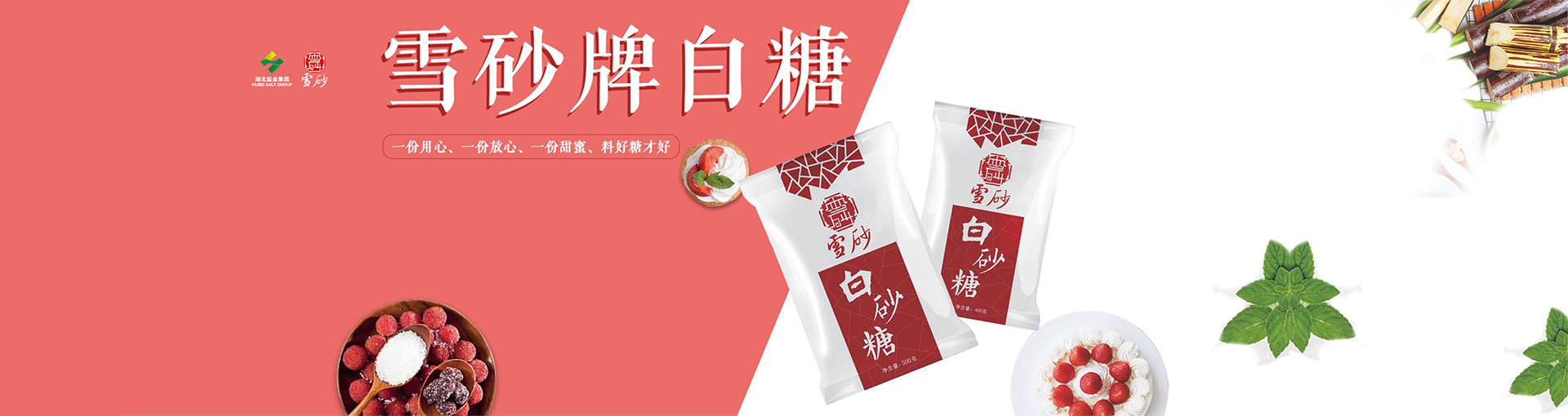 P020221124594436571254