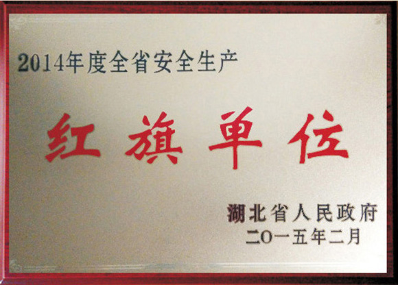 P020221124579997873765