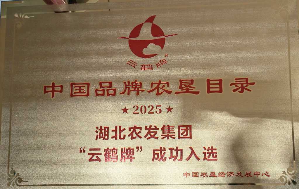 W020260326399597889902